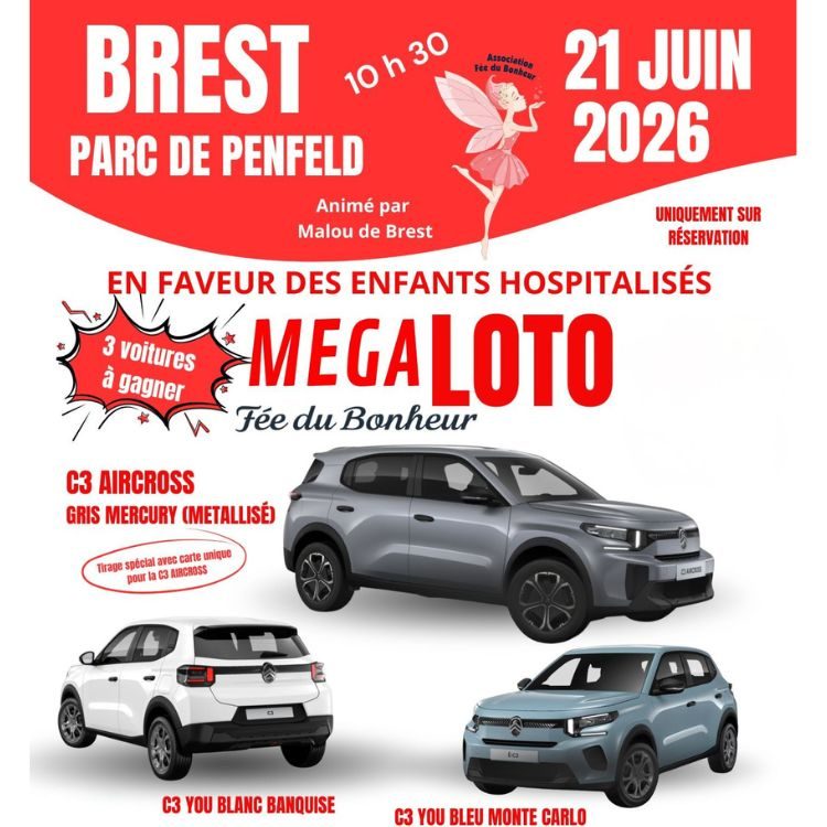MEGA-LOTO-FEE-DU-BONHEUR